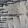Œuvre de l'artiste