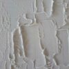 Œuvre de l'artiste